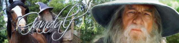 gandalfbanner.jpg