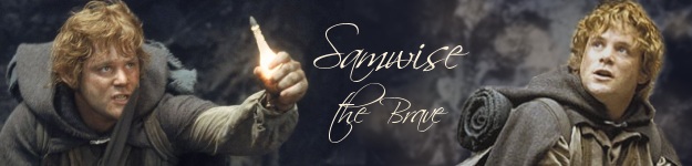 sambanner.jpg